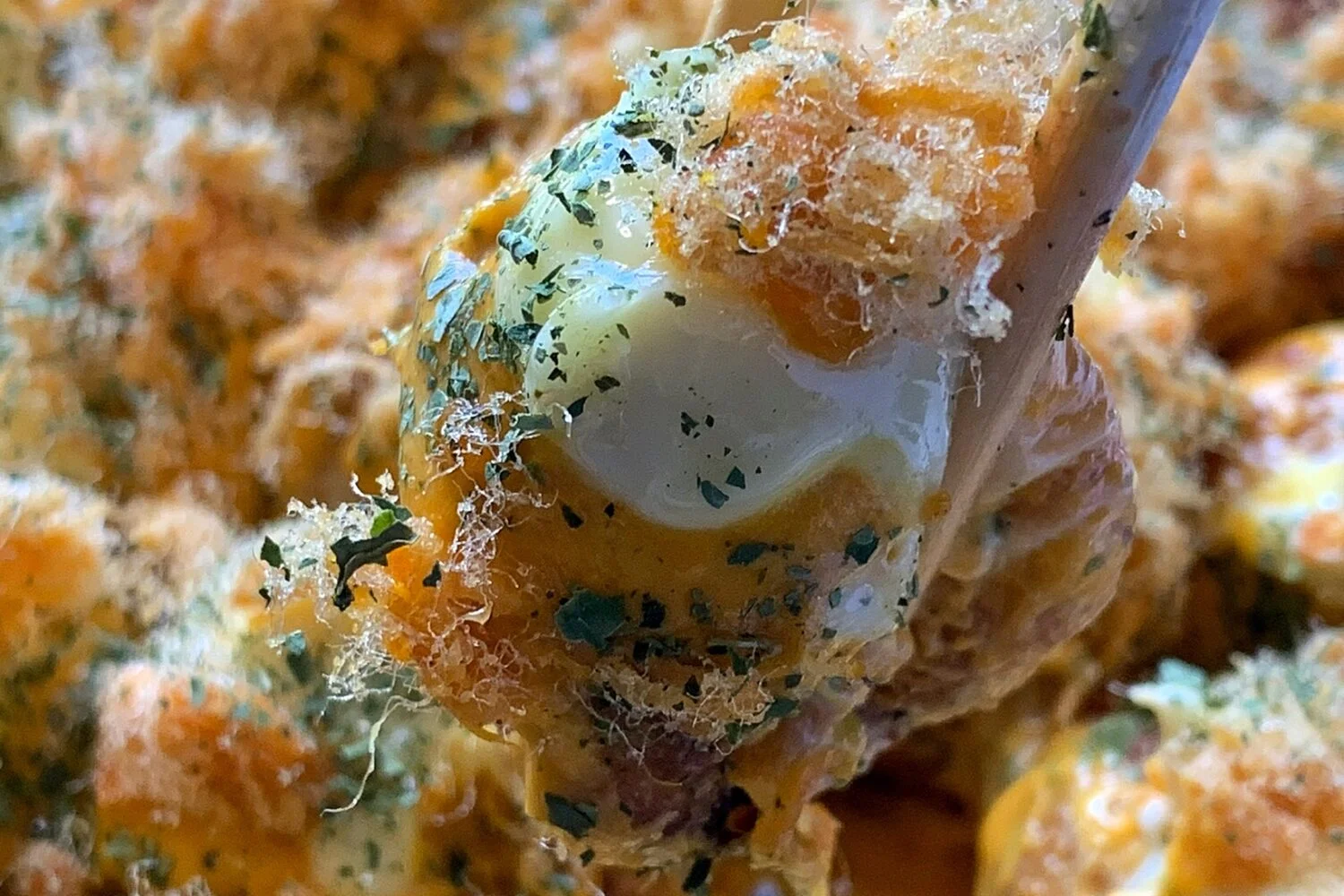 Kenji Takoyaki, why is it our favorite?